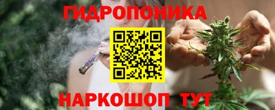 сатива Кимры