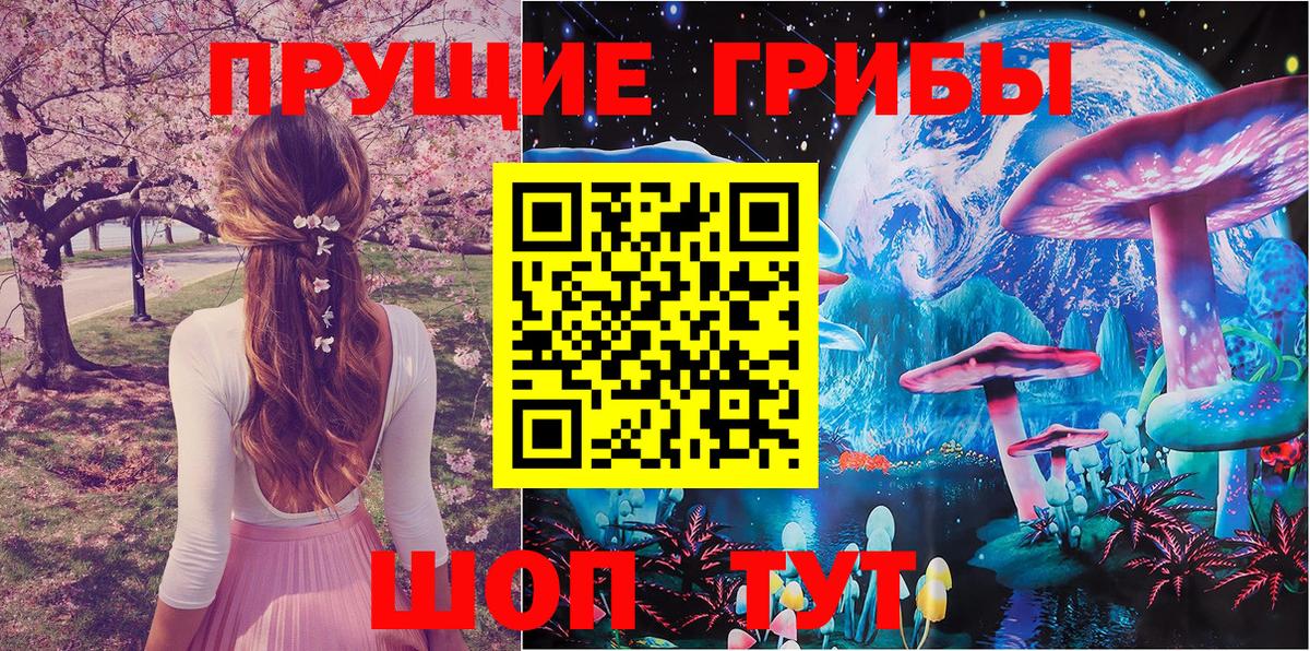 закладка  Вход с VPN  Киров  Галлюциногенные грибы Psilocybe 